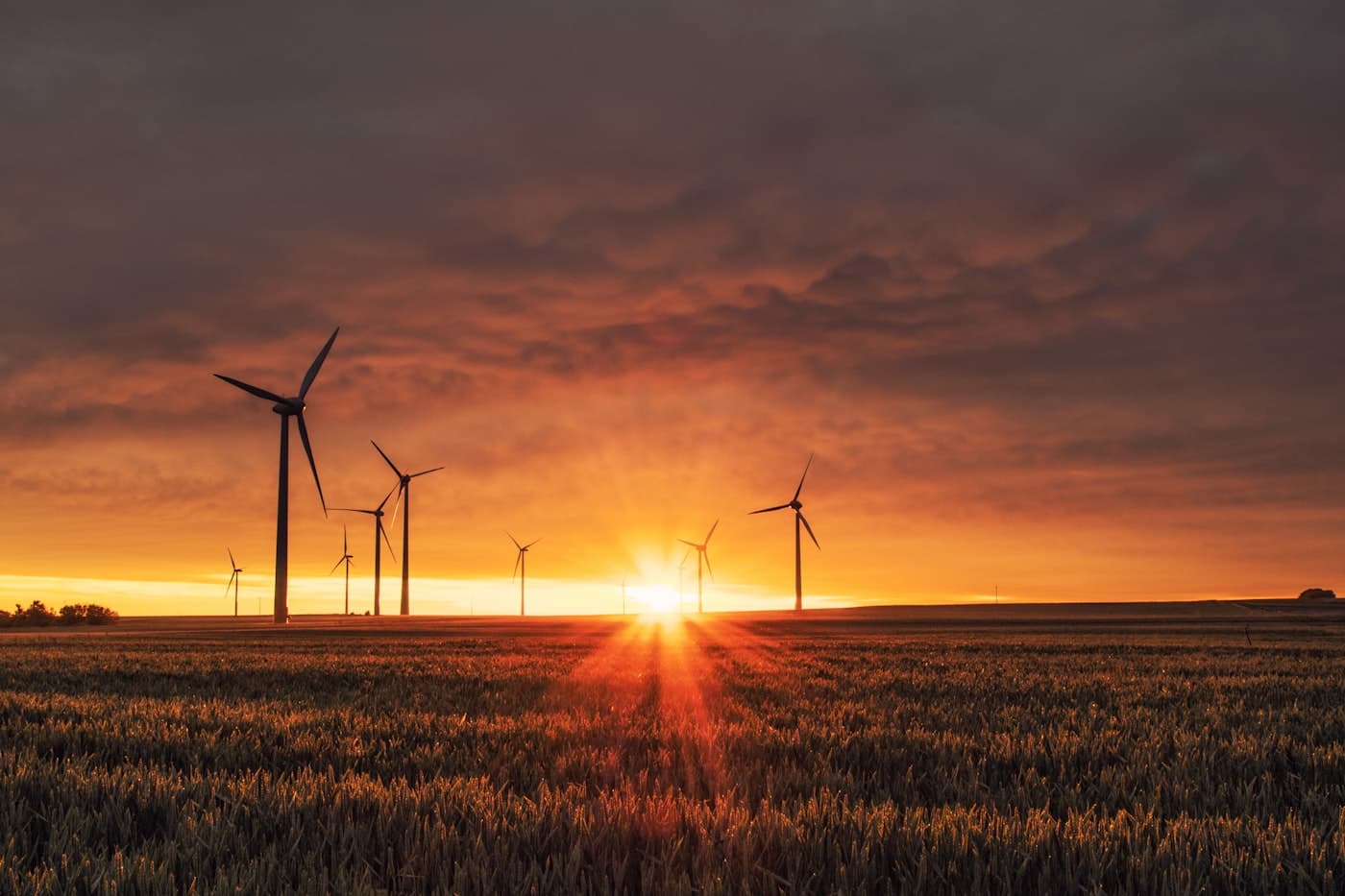 Windräder in einer grünen Feldlandschaft